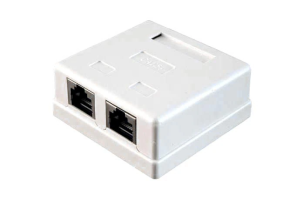 Розетка компьютерная настенная  RJ-45 5 кат. двойная