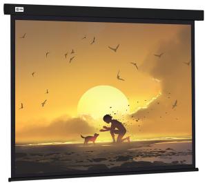 Экран Cactus Wallscreen CS-PSW-150X150-BK