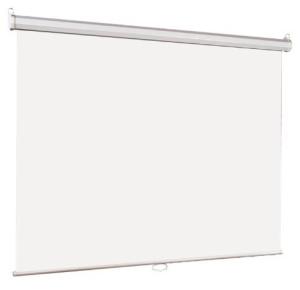 Экран Lumien 203x203см Eco Picture LEP-100109 1:1 настенно-потолочный рулонный